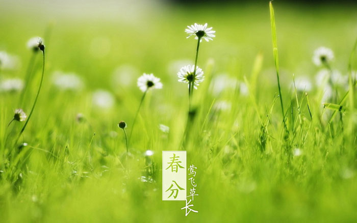 即即是春风十里，，，，依然不如你